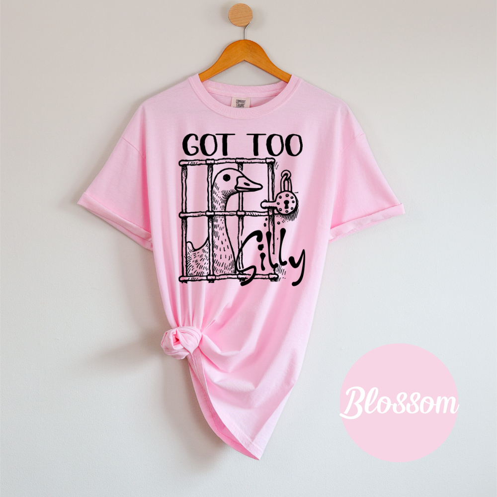 Got Too Silly – Goose Jail Tee
