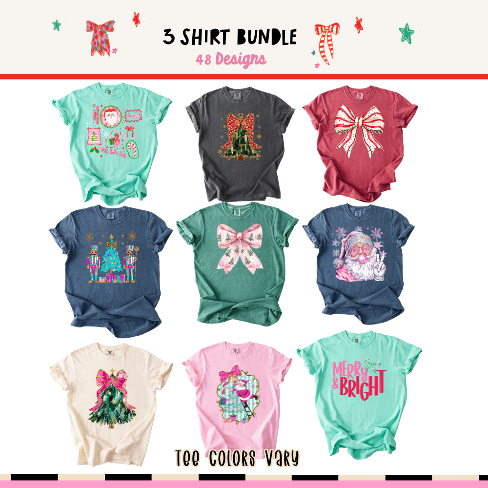 3-Shirt Comfort Colors Mystery Bundle | Surprise T-Shirt Pack for Women