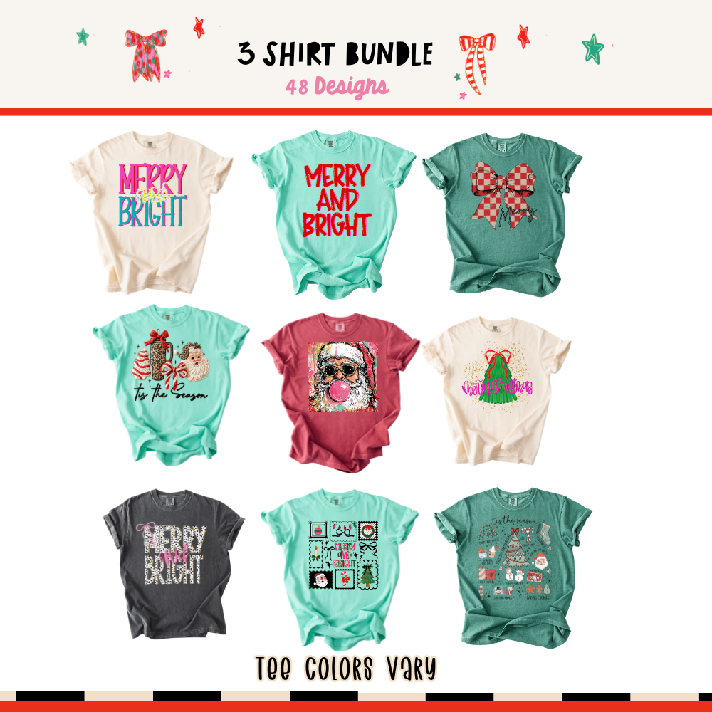 3-Shirt Comfort Colors Mystery Bundle | Surprise T-Shirt Pack for Women