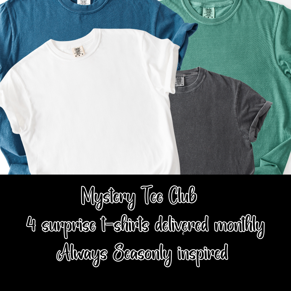 Mystery Tee Club – 4 Seasonal Shirts Monthly Subscription