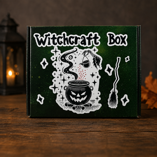 Witch Halloween Gift Set Box – T-Shirt, Tumbler, Earrings & Stickers OOTD for Women, Party Outfit Set